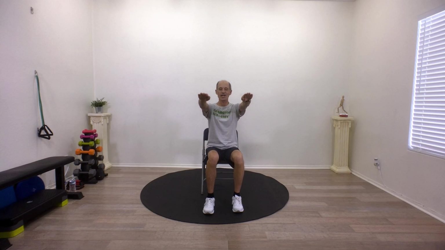 Shoulder Exercises for Seniors ELDERGYM®